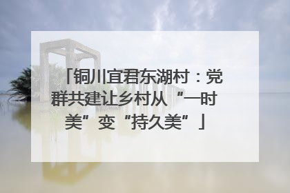 铜川宜君东湖村：党群共建让乡村从“一时美”变“持久美”