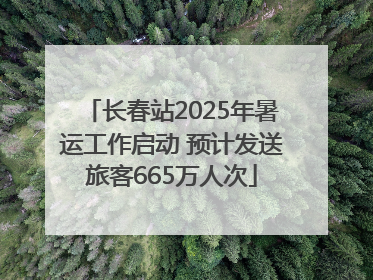 长春站2025年暑运工作启动 预计发送旅客665万人次