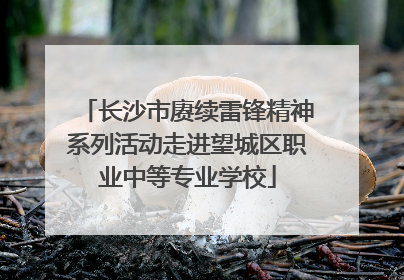 长沙市赓续雷锋精神系列活动走进望城区职业中等专业学校
