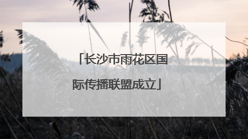 长沙市雨花区国际传播联盟成立