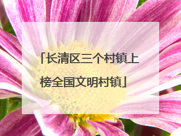 长清区三个村镇上榜全国文明村镇