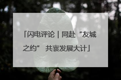 闪电评论｜同赴“友城之约” 共襄发展大计