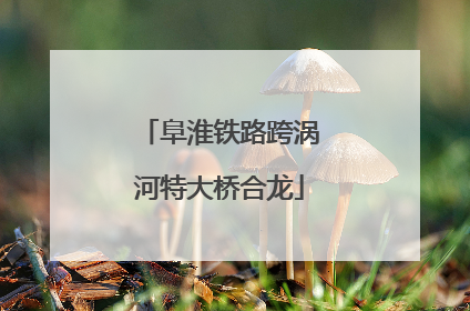 阜淮铁路跨涡河特大桥合龙