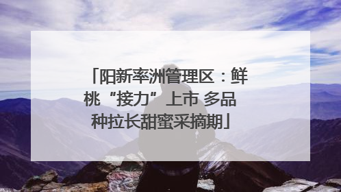 阳新率洲管理区：鲜桃“接力”上市 多品种拉长甜蜜采摘期
