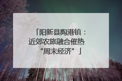 阳新县陶港镇：近郊农旅融合催热“周末经济”