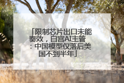 限制芯片出口未能奏效，白宫AI主管：中国模型仅落后美国不到半年