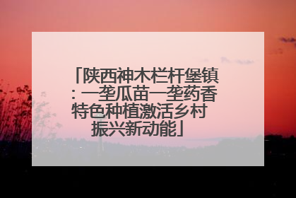 陕西神木栏杆堡镇：一垄瓜苗一垄药香 特色种植激活乡村振兴新动能