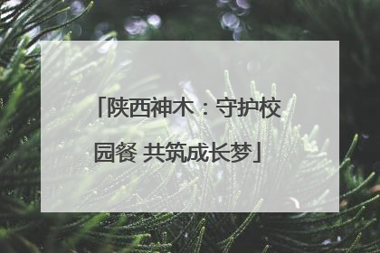陕西神木：守护校园餐 共筑成长梦