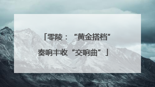 零陵：“黄金搭档”奏响丰收“交响曲”