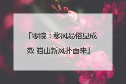零陵：移风易俗显成效 岿山新风扑面来