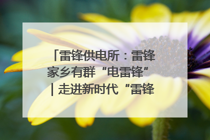 雷锋供电所：雷锋家乡有群“电雷锋”｜走进新时代“雷锋传人 长沙榜样”