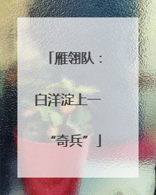 雁翎队：白洋淀上一“奇兵”