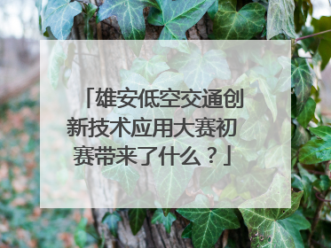 雄安低空交通创新技术应用大赛初赛带来了什么？