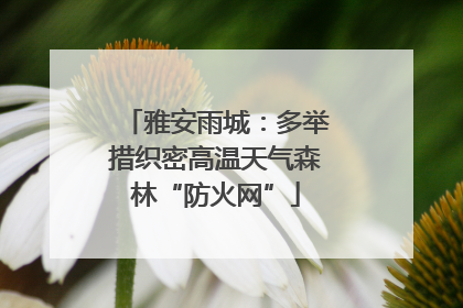 雅安雨城：多举措织密高温天气森林“防火网”