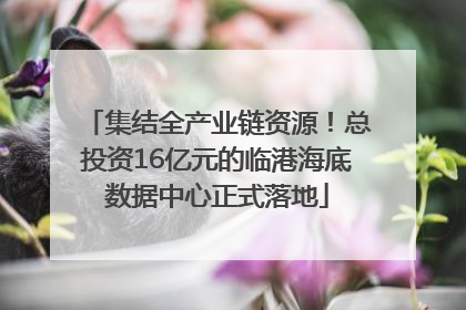 集结全产业链资源！总投资16亿元的临港海底数据中心正式落地