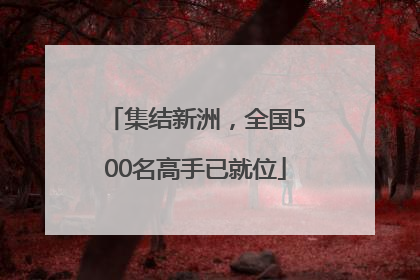 集结新洲，全国500名高手已就位