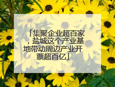 集聚企业超百家，盐城这个产业基地带动周边产业开票超百亿