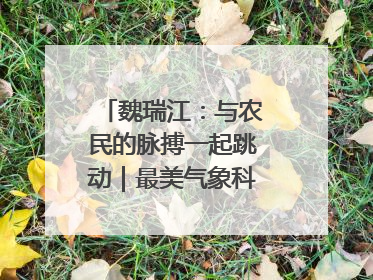 魏瑞江：与农民的脉搏一起跳动｜最美气象科技工作者