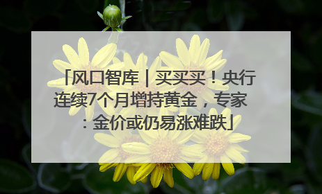风口智库｜买买买！央行连续7个月增持黄金，专家：金价或仍易涨难跌