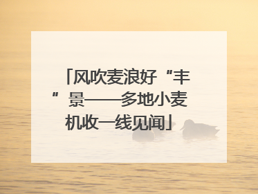风吹麦浪好“丰”景——多地小麦机收一线见闻