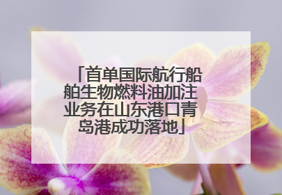 首单国际航行船舶生物燃料油加注业务在山东港口青岛港成功落地