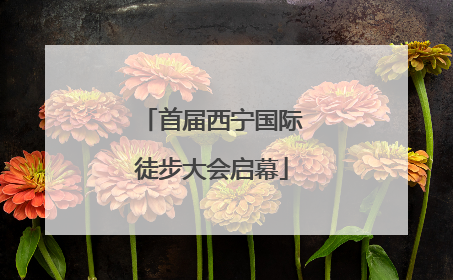 首届西宁国际徒步大会启幕