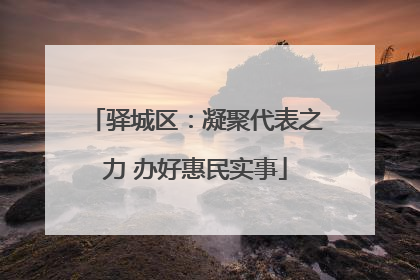 驿城区：凝聚代表之力 办好惠民实事