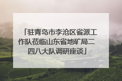 驻青岛市李沧区省派工作队莅临山东省地矿局二四八大队调研座谈