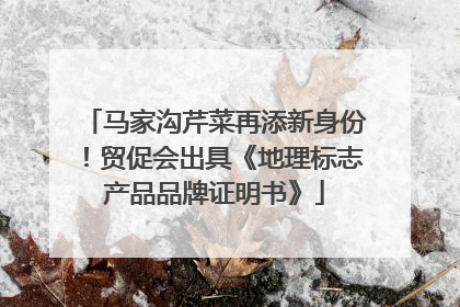 马家沟芹菜再添新身份！贸促会出具《地理标志产品品牌证明书》
