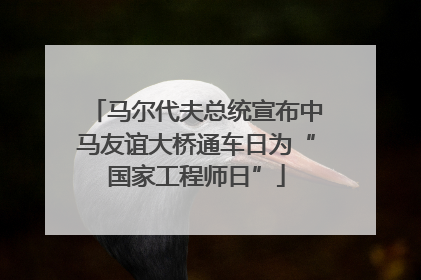 马尔代夫总统宣布中马友谊大桥通车日为“国家工程师日”