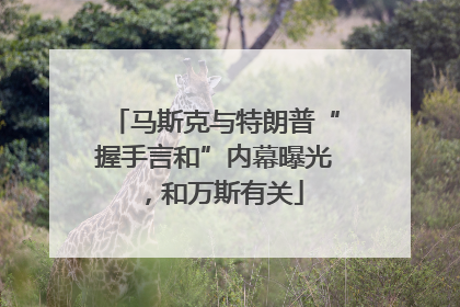 马斯克与特朗普“握手言和”内幕曝光，和万斯有关