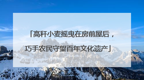 高秆小麦摇曳在房前屋后，巧手农民守望百年文化遗产