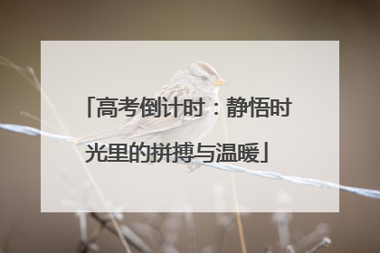 高考倒计时：静悟时光里的拼搏与温暖