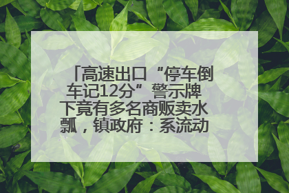 高速出口“停车倒车记12分”警示牌下竟有多名商贩卖水瓢，镇政府：系流动摊位，已多次劝离
