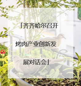 齐齐哈尔召开烤肉产业创新发展对话会