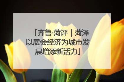 齐鲁·菏评｜菏泽以展会经济为城市发展增添新活力