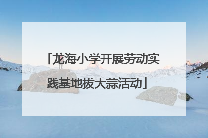 龙海小学开展劳动实践基地拔大蒜活动