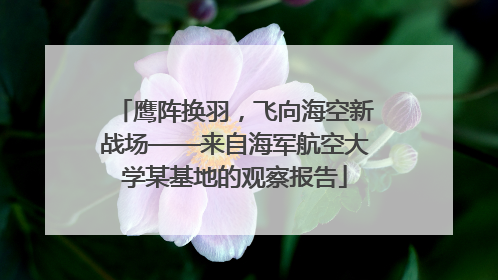 鹰阵换羽，飞向海空新战场——来自海军航空大学某基地的观察报告