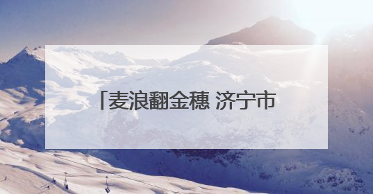 麦浪翻金穗 济宁市任城区32.28万亩小麦陆续开镰收割