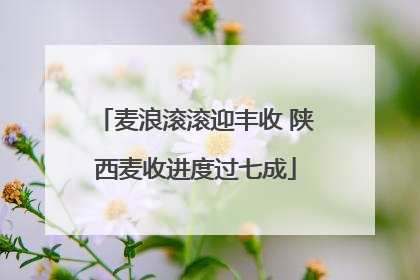 麦浪滚滚迎丰收 陕西麦收进度过七成