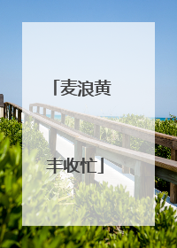 麦浪黄 丰收忙