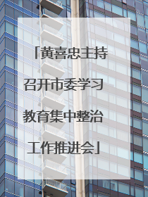 黄喜忠主持召开市委学习教育集中整治工作推进会