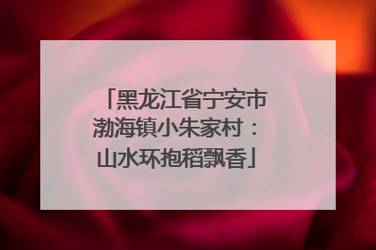黑龙江省宁安市渤海镇小朱家村：山水环抱稻飘香