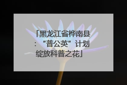 黑龙江省桦南县：“普公英”计划绽放科普之花