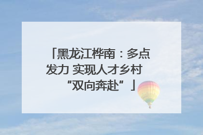 黑龙江桦南：多点发力 实现人才乡村“双向奔赴”