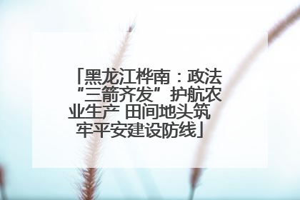 黑龙江桦南：政法“三箭齐发”护航农业生产 田间地头筑牢平安建设防线