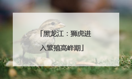 黑龙江：狮虎进入繁殖高峰期
