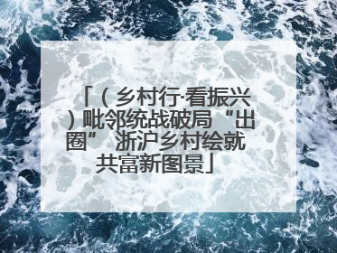 （乡村行·看振兴）毗邻统战破局“出圈” 浙沪乡村绘就共富新图景
