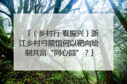 （乡村行·看振兴）浙江乡村弓箭馆何以靶向绘制共富“同心圆”？