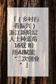 （乡村行·看振兴）浙江新阶层人士种蓝莓16载 盼用AI赋能“二次创业”